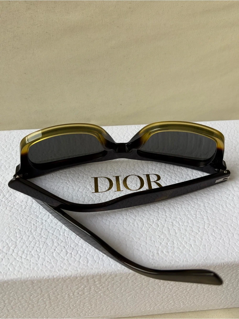 Dior authentic christian